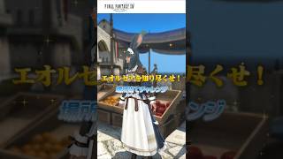 【FF14】エオルゼアを知り尽くせ！場所当てチャレンジ 🗺️ ヒカセンなら分かる！？この景色どこ？【もち月兎】#shorts #ヒカセン#新人vtuber #vtuber #ff14