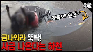 하천에서 5년간 사금채취. 마을 사람들은 고통스럽다