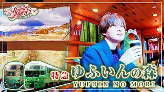 絶対に一度は乗るべき日本の超人気観光特急【ゆふいんの森】2種類乗り比べ！