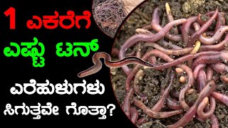 ಇಲ್ಲಿ ಹಲವಾರು ಕೃಷಿಕರು ಸಾವಿರ, 10 ಸಾವಿರ ಎಕರೆಯಲ್ಲಿ ಕೃಷಿ ಮಾಡುತ್ತಿದ್ದಾರೆ |ಈ  ಮಣ್ಣಿನ ಗುಣ ಕೇಳಿದ್ರೆ ಶಾಕ್