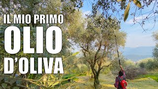 Il mio OLIO d'OLIVA: dalla raccolta molitura tutto in GIORNATA