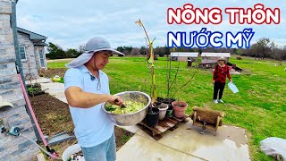 Tại Sao Người Già Ở Mỹ Lại Thích Về Quê Trồng Trọt Chăn Nuôi