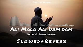 Ali Mola Ali Dam Dam - (Slowed+Reverb) Sultan Ul Qadria Qawwal