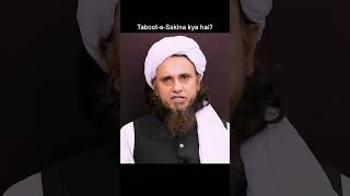 Taboot-e-Sakina kya hai? Mufti Tariq Masood sahab #shorts #short