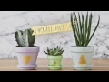 diy como fazer vasos decorativos westwing