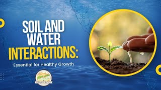 Soil and Water Interactions: Essential for Healthy Growth| Spring Scientific Explains Farming Basics