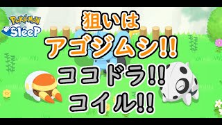 【ポケモンスリープ/Pokemon Sleep】ゴールド旧発電所登場キャンペーン開催!! この2週間で厳選を終わらせたい!! #207 【ポケスリ】