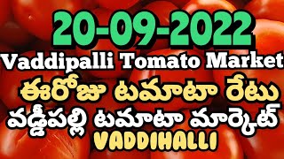 Vaddipalli Tomato Market🍅|ఈరోజుటమాటారేటు|#TodayTomatoRateInVaddipalli|20-09-2022@ckgowthamvlogs