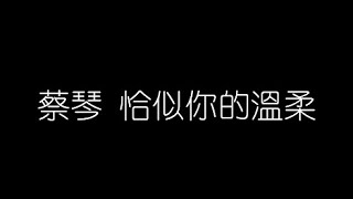 蔡琴   恰似你的溫柔 無損音樂FLAC 歌詞LYRICS 純享