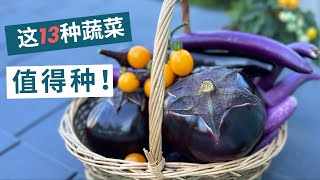 最值得种的蔬菜13 种蔬菜 Best Vegetable Varieties to grow 1/8/2025