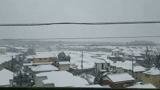 車窓からの雪景色(武蔵野線・東所沢～新座)　A View from A Train in Snow