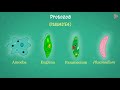 introduction to protozoa microorganisms biology don t memorise