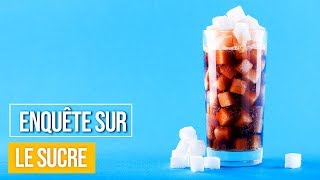 Enquête sur le sucre - Documentaire
