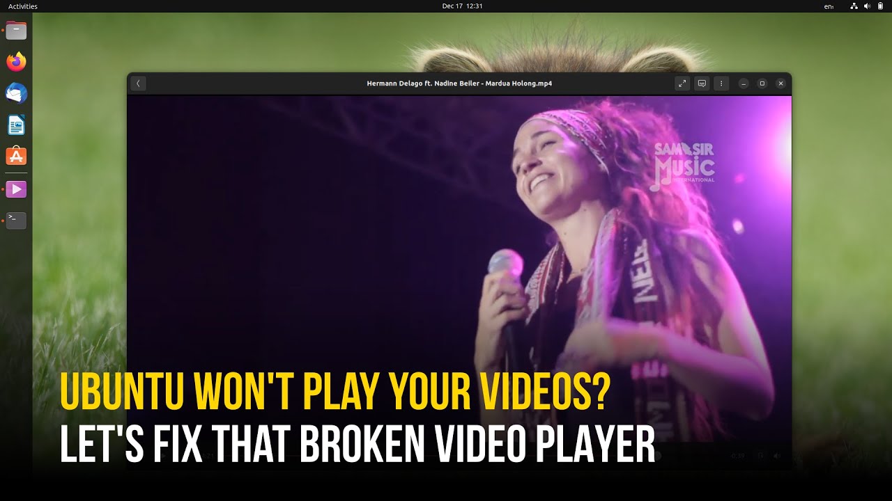 Fix Ubuntu Not Playing Videos (MP4, MKV) & Crash After Installing Codecs on 22.04, 22.10