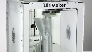 Nefertiti Bust by project #NefertitiHack - Ultimaker: 3D Printing Timelapse