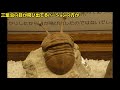 奇石博物館のこんにゃく石～ strange stone museum