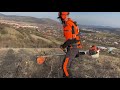 stihl fs 560 c em working with shredding blade. motocoasa cu cutit tocator la tocat de tufe.