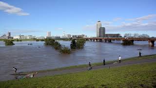 2019年台風19号襲来数日後の荒川河川敷　その２