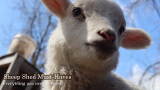 How to Build the Perfect Sheep Shed: 5 Must-Know Essentials for Beginners