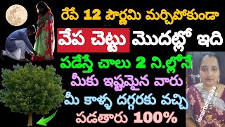 రేపే12 పౌర్ణమి మర్చిపోకుండా వేపచెట్టు మొదట్లో ఇది పడేస్తే చాలు 2ని.ల్లోనే మీకు ఇష్టమైన వారు మీ కాళ్ళ