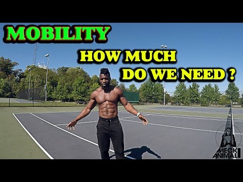 MOBILITY | HOW MUCH DO YOU NEED ? MOBILITY | HOW MUCH DO YOU NEED ?