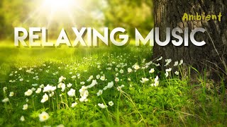 Ambient meets classical music , Relaxing , meditation , studying , thinking time