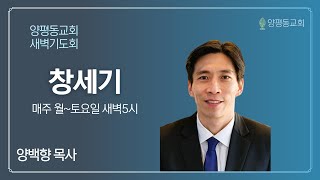 창세기 40장9~23절 / 양백향 목사 / 2025.02.22 / 양평동교회 새벽기도회