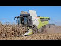 ☆KUKURYDZA NA ZIARNO 2024🌽 | CLAAS & VOLVO ☆ #claas #volvo