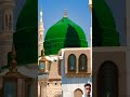 Wo ☝🏻 Mera Nabi Hay ___/\__,- #shorts #trending #viralvideo #islamicholycities #islam