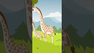 Giraffe Sound | Giraffe calls in the forest | সব থেকে  সুন্দর  জিরাফের ডাক |