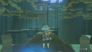 [BotW Speedrun] Mogg Latan Shrine in 5.533 seconds (Any%)