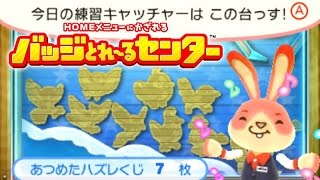 【3DS】毎日のバッジとれ～るセンター「2015/09/24」今日の練習キャッチャーは鳥ポケモン（ムックル）の台っす！