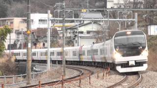 E257系長モトM109編成 立川～日野通過