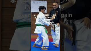 #shorts Suparinpei  壱百零八・壱百零八手 スーパーリンペイ #shorts#usakarate #news #karate #cobrakai #wkf #wkfkarate