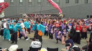 よさこいフェスタin新川市まつり2018 総踊り（フリーダム）メイン会場