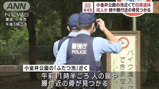 東京・小金井公園の池近くで白骨遺体　成人か　頭や腰付近の骨見つかる(2023年10月2日)