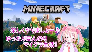 【雑談】ぽんこつうさぎがマイクラ生活！迷子にはなりませんっ🐰～13村目～【vtuber】