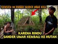 GAWAT‼️SANDER UMAR INGIN KEMBALI KE HUTAN... APAKAH TIDAK BETAH TINGGAL DI KAMPUNG ????