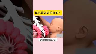 母乳是妈妈的血吗？母乳是怎样形成的呢？#亲子 #母乳#母乳妈妈#育儿 #纯母乳喂养#母乳喂养 #baby #人类幼崽成长记 #宝妈