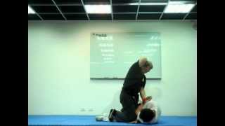 螳螂拳 台灣國術論壇每月一招2012.08螳螂拳-中平雙蓄式10 Teaching Martial Arts Mon