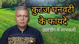 Kutaj Ghanvati ke fayde | Dr. Ashok Ayodhyavasi