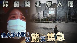 30周孕婦滯武漢求助港府無人理　議員促作特別安排 - 20200221 香港新聞 on.cc東網