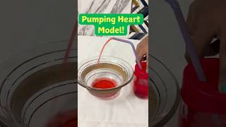 "How the Heart Works | Easy DIY Science Experiment for Kids ❤️"