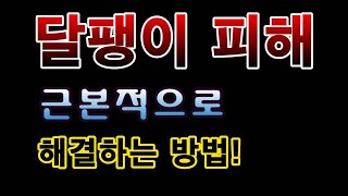 [텃밭농부.804]  달팽이 피해를 근본적으로 막는방법. #달팽이퇴치법