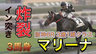 マリーナ　イン突き炸裂3馬身 3歳1勝クラス 2021.3/21 キズナ産駒　岩田康成騎乗