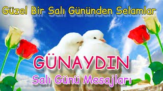 🧿 SALI GÜNÜ 🧿 MESAJLARI 🧿 RESİMLİ 🧿 ANLAMLI 🧿 MÜZİKLİ 🧿 2023 🧿 YENİ 🧿 WHATSAPP DURUM #salı