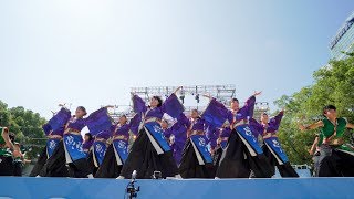 [4K] 愛知学院大学 常笑　にっぽんど真ん中祭り 2019 どまつり 日曜日