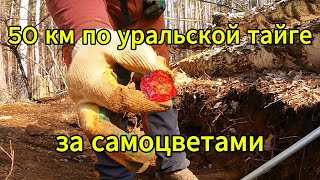 Поход за минералами среднего Урала (Кадниково, Ольховка, Гематитовая горка, Верховская копь)