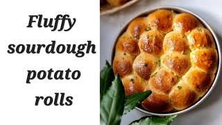 Fluffy sourdough potato rolls | painici de cartofi cu maia