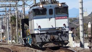 高崎線行田駅で貨物列車と特急電車を撮影 Japanese freight train and limited express near Gyoda station on Takasaki-Line